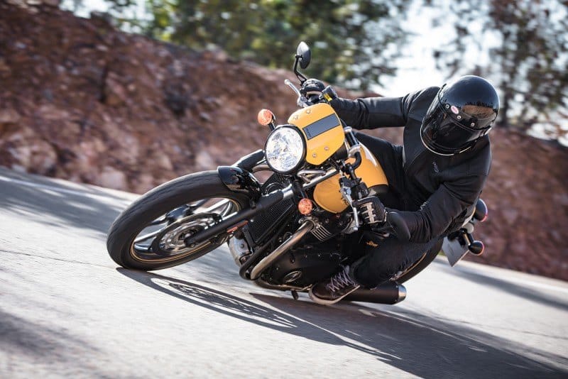Triumph Principiantes 3