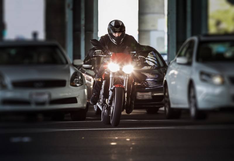 Triumph Principiantes 5