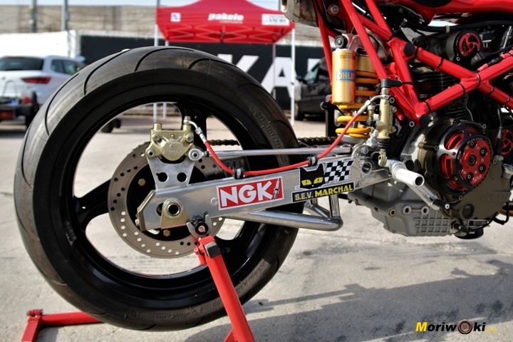 Prueba Pata Negra XTR 67 Prueba Pata Negra XTR 67