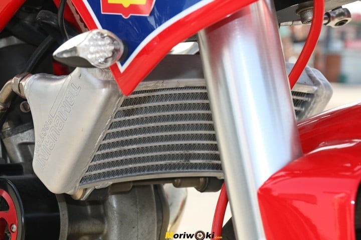 Prueba Pata Negra XTR 55 Prueba Pata Negra XTR 55