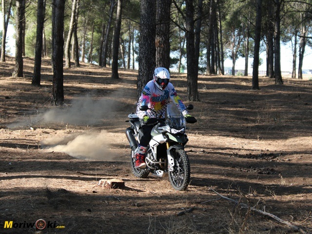 Prueba de la Triumph Tiger 900 Rally Pro en el bosque. Prueba de la Triumph Tiger 900 Rally Pro en el bosque.