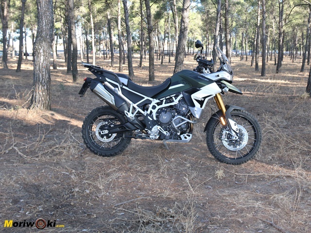 Triumph Tiger 900 Rally Pro perfil derecho Triumph Tiger 900 Rally Pro perfil derecho