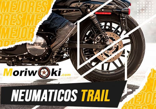 Mejores neumaticos trail