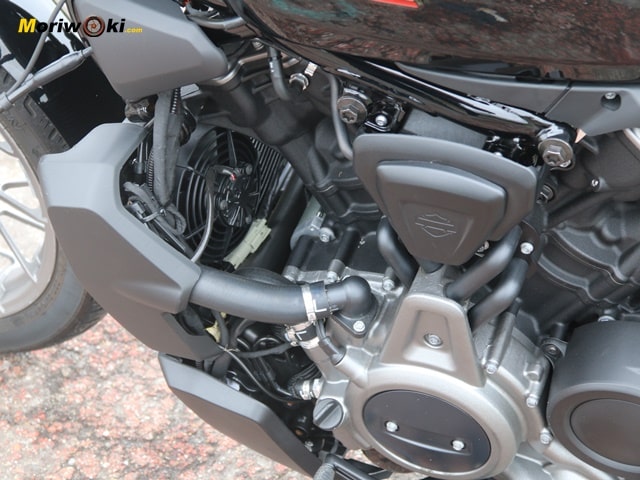 Harley Davidson Nightster 975 Las apariencias engañan lateral motor Harley Davidson Nightster 975 Las apariencias engañan lateral motor